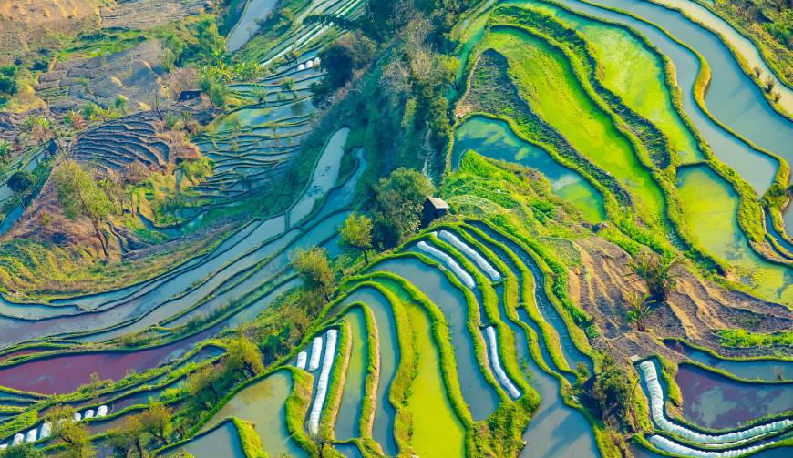 宝妈必备神器：呼伦贝尔产品视频拍摄轻松育儿好帮手