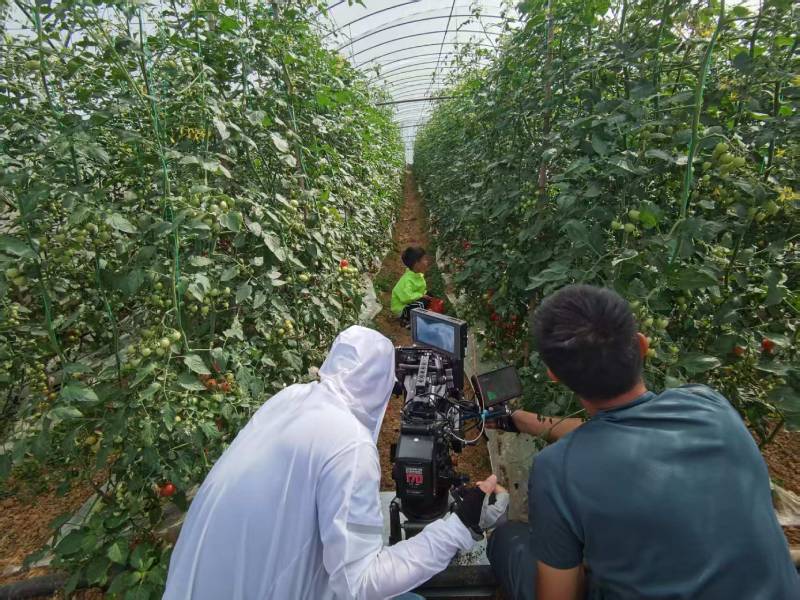 呼伦贝尔产品宣传视频拍摄公司进阶指南，助力品牌抢占传播高地